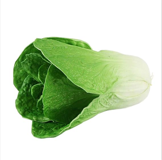 Zzooi Artificial High Simulation Chinese Cabbage Fake Celery Cabbage for Home Decor