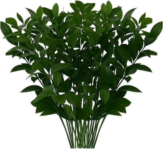 GlobalRose 60 Ruscus Stems - Fresh Flowers Greens Perfect for Wedding