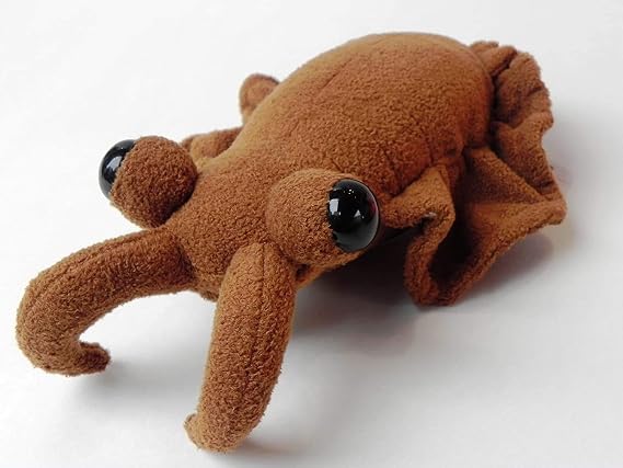 Anomalocaris Stuffed Toy Brown