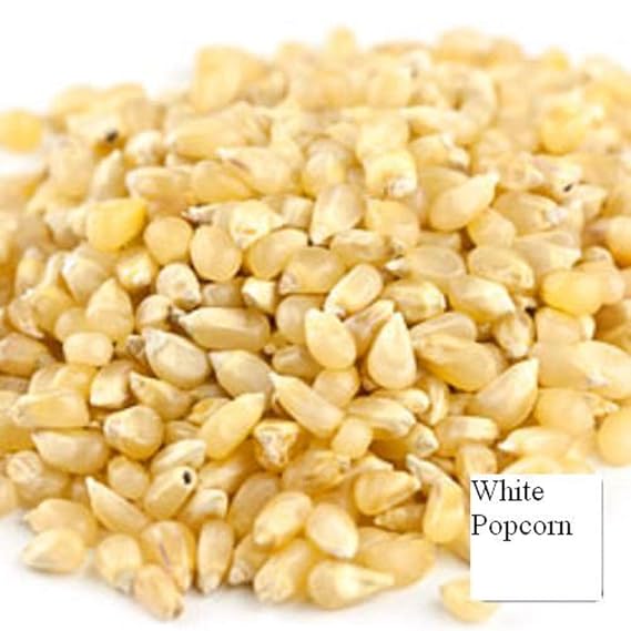 Unpopped Popcorn Kernels (Baby White, 4 LB)