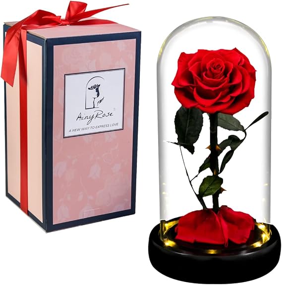 Preserved Rose in Glass Dome with Light, Red | Forever Preserved, Eternal Beauty, Gift for Mom/Her, Romantic Gift, Multiple Occasions