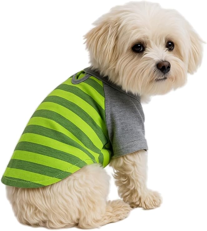 Kedi ve Köpek Kıyafeti & Elbisesi Yeşil Gri T Shirt S