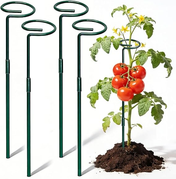 Plant Stakes, 2026 New Plant Support Stakes, Garden Single Stem Support Stake Plant Cage Support Rings (24', 4pcs)