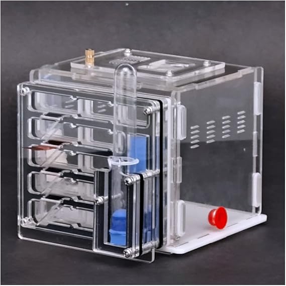 NA Ant Farm Acrylic Ant Farm Ant Nest Ant House Display Box with Feeding Area Pet Anthill Castle with Feeding Area Workshop