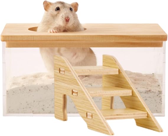 1 Pcs Hamster Sand Bath, Hamster Bath, Sand Bath For Syrian Hamster, Hamster Bath Container With Ladder, Pet Supplies, For Small Animal Toilet Bathtub Hamster Dig Box Shower And Digging Room Litter
