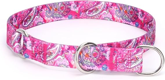 No Pull Martingale Dog Collar, Slip Collar with Stop Ring for Small, Medium, Large Dogs, Love Hearts Pattern (NO24, S)