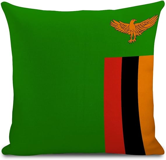 Ditooms 20x20 in Modern Cotton Throw Pillow Case with Invisible Zipper Euro Cushion Case Cool Pillow Cover Delicate Decorative Pillow Cases for Chair Bed Couch, Zambia Flag