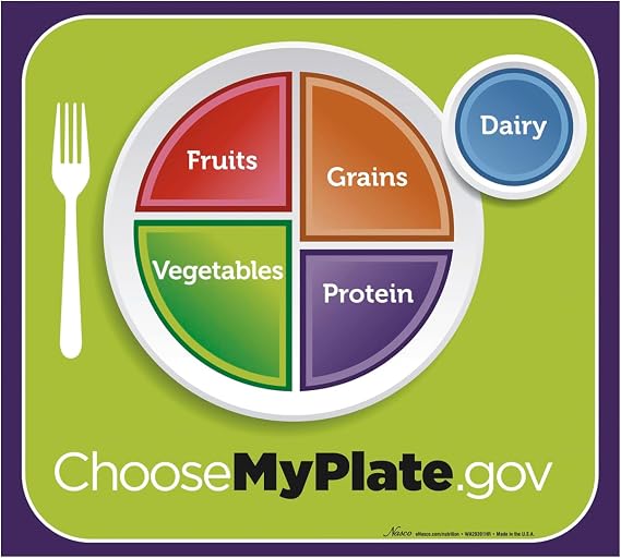 Nasco WA29391 MyPlate Poster, Nutrition Education - 20" X 18"