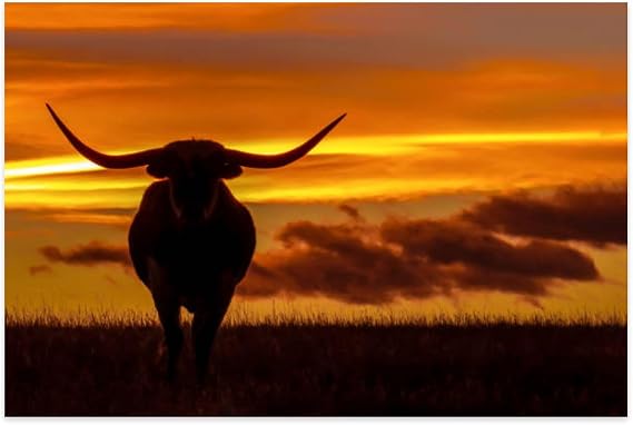 Puzzles for Adults Longhorns Sunset - Fun Interactive Brain Teaser Jigsaw Puzzles 1000 Pieces