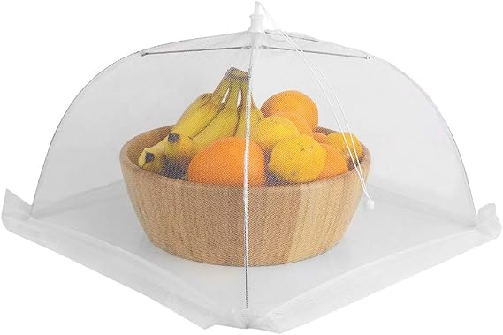 Home Basics Square Mesh Collapsible Food Plate Cover, White