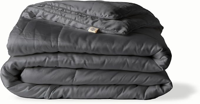 Sheets & Giggles Eucalyptus Lyocell, Down Alternative Comforter All Season, Cool to the Touch, Responsibly Made, Allergen-Free Queen Grey