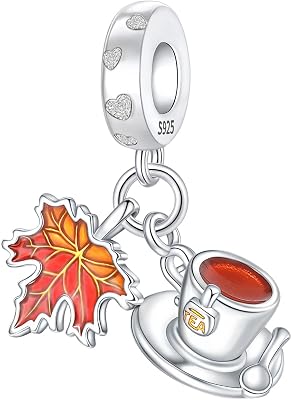 925 Sterling Silver Charms fits Bracelets and Necklace Pendant Bead Charms Jewelry Gift for Women Family Friends