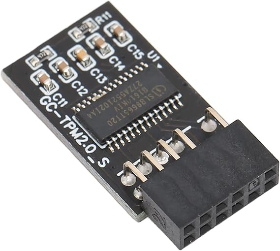 TPM 2.0 Encryption Security Module 12Pin LPC Interface, Remote Card Security Module for Desktop Motherboards, Trusted Platform Module for System Encryption and Data Protection