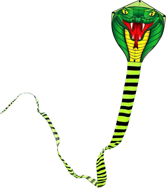 Touch the sky 8m Long Snake Kite for Kids and Adults, Easy to Fly, Exquisite Fabrics and Unique Structure Design, Excellent Outdoor Games and Activity Toys, Suitable for Beginners.