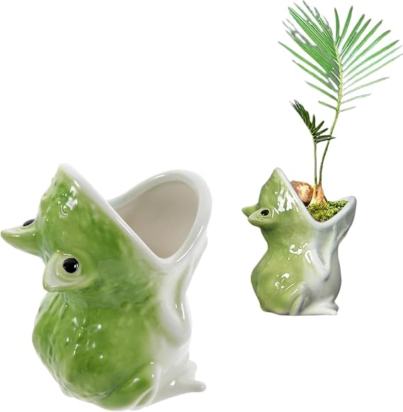 Frog Succulent Pot Ceramic Funny Frog Statue Planter Novelty Cactus Flowerpot Vase Air Plants Stand Holder Display Container for Miniature Plants Home Office Garden Decor, No Plants