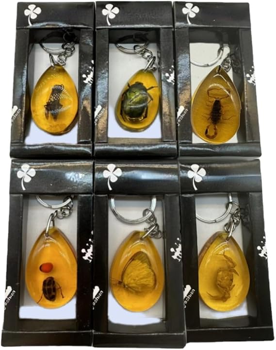 6Pcs Amber Fossil Keychain Set - Insect Specimen Necklace, Home Decor Collectible, Oval Pendant, Scientific Education Gift