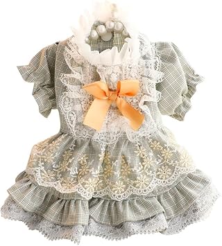Dog Princess Dresses for Small Dogs Lolita Clothes Court Lace Retro Costume Skirt Pet Girl Cute Coat Outfits Spring Costumes (Green,Large)