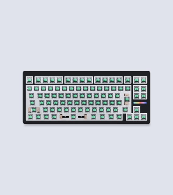 Wooting 80HE Module Linear60 v2 Japanese Layout JIS Rapid Trigger Rabbit Snappy *Key Cap Sold Separately