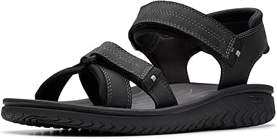 Clarks mens Wesley Shore