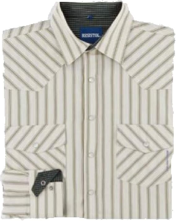 RESISTOL Men's Folsom Striped Button Down Shirt