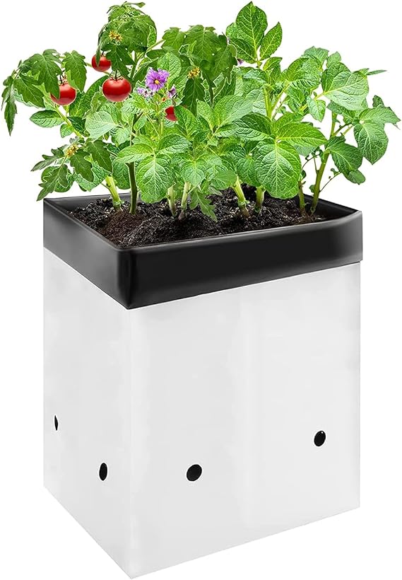 VIVOSUN 50-Pack 1 Gallon Plastic Grow Bags for Plants, Black & White | Excellent Drainage, Root Temperature Protection, Lightweight, Foldable, Reusable