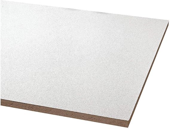 Armstrong World Industries BPGR870 Acoustical Ceiling Panel 870 Clean Room Vl Unperforated Humiguard Plus (8 per Case), 24" x 48" x 5/8"