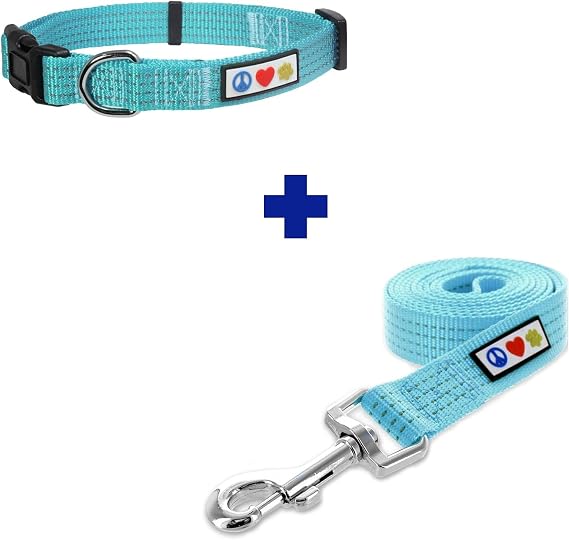 Pawtitas Value Bundle Set | Extra Small Reflective Dog Collar + Extra Small Reflective Dog Leash Teal Set