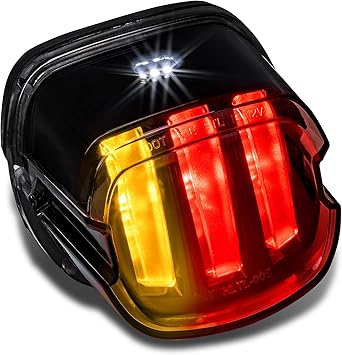 TRUE MODS LED Brake Tail Light for Harley Davidson - F1 Flashing Blinker Turn Signal DOT Integrated Rear Red Back Taillight for Sportster Dyna Fat Boy Road King Electra Glide Ultra Softail Heritage