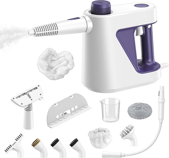 Mistsince Handheld Steam Cleaner, Portable Detail Steamer for Car/Tile