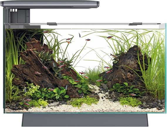 Superfish Quadro 40 Pro LED Black 28 Litre Aquarium Fish Tank