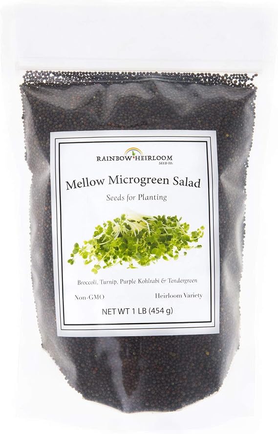 Mellow Microgreen Salad Mix | Contains Purple Kohlrabi, Tendergreen, Turnip & Broccoli Sprouting Seeds | Bulk 1 LB Resealable Bag | Non GMO Heirloom Seeds | Rainbow Heirloom Seed Co.