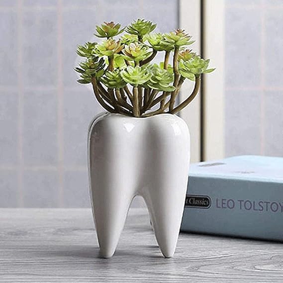 Creative Teeth Shape Mini Flower Pot White Ceramic Succulent Plant Planter Green Plant Bonsai Flower Pots Personality Indoor Decorative Small Flower Pots