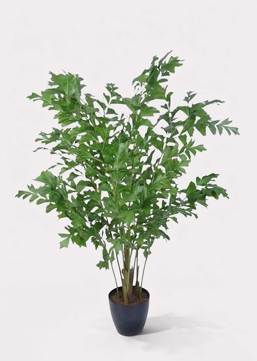 Afloral Tall Fishtail Palm Tree in Pot - 63"
