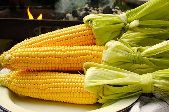 Seeds Sugar Corn Sweet Giant Heirloom Vegetable Non GMO for Planting