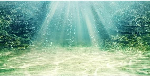 24x16 inches Aquarium Backdrop Underwater Ocean Floor Fish Tank Background | AWERT Aquatic Plant Bubble Polyester Terrarium Background