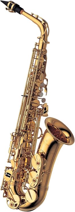 Yanagisawa A-WO1 Professional Alto Saxophone - Lacquer