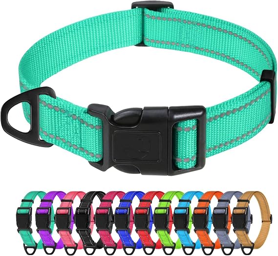 TagMe Reflective Dog Collar for Medium Dogs Classic Nylon Pet Collar Lightweight Adjustable 35-50cm Quick Release Buckle High Visibility Stitching 2.5cm Width, Turquoise