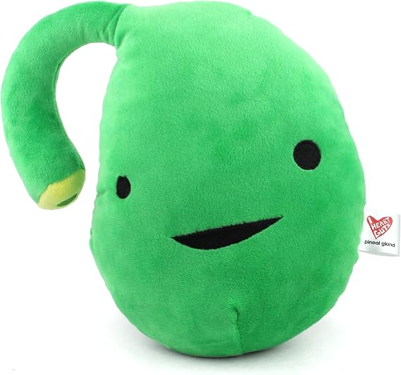 I Heart Guts Pineal Gland Plush - 8" Cute Educational Organ Toy for Sleep Disorders - Funny Get Well Gift for Nurse Patients & Medical Student STEM Anatomy Plushie