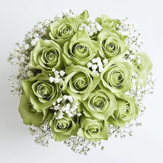 GlobalRose Fresh Dozen Green Roses & Fillers - Fresh Flowers Bouquet for Valentine's Day