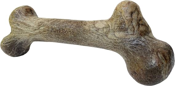 Pet Qwerks Dinosaur BarkBone - Nylon Dog Bone for Aggressive Chewers - Bacon Flavor - 6.5"