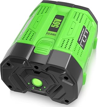 BA4200T 12000mAh Replacement for EGO 56 Volt Battery, Compatible with EGO Snowblower, Leaf Blower, Electric Cordless Power Tools and Charger(12.0Amps-1PC)