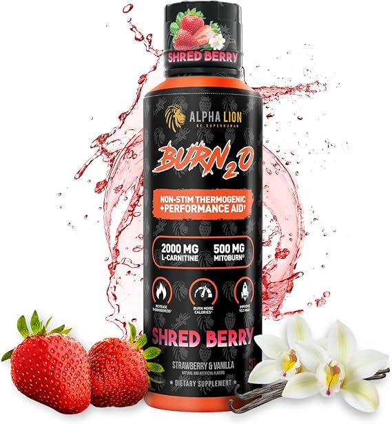ALPHA LION Burn2O L-Carnitine Liquid 2000mg, Premium Liquid Fat Burner & Pre-Workout Supplement for Men & Women - Natural Energy &