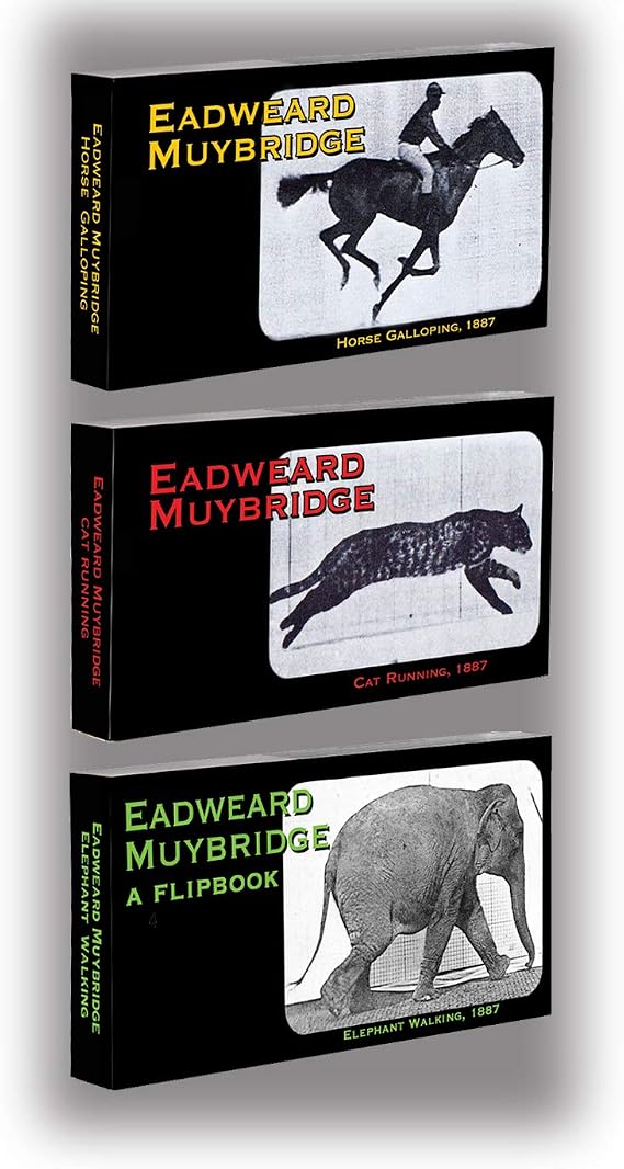 Muybridge Flipbook 3-Pack for Kids 6-12, Animation Flip Books for Children