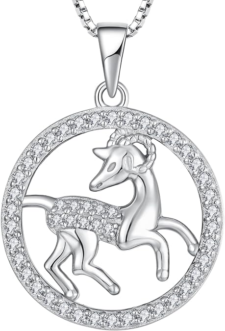 STARCHENIE Women's Constellation Jewelry Sterling Silver Zodiac Necklace Astrology Disc Horoscope Pendant 18'' Box Chain