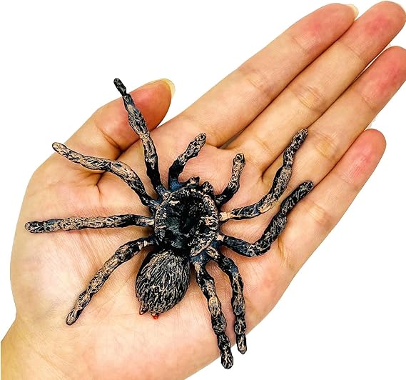 Halloween Spider Spider Halloween Fake Spider Realistic Fake Spider Decorations Plastic Spider Realistic Scary Spider Halloween Decorations for Home, Office, Party (A)