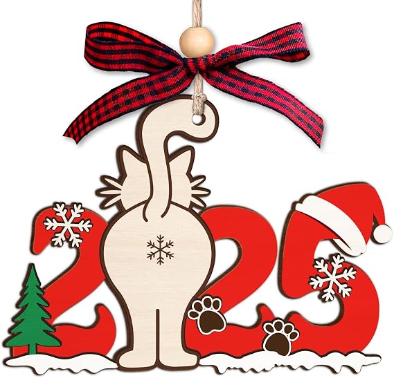 NewEleven Cat Christmas Ornament 2025 - Cat Women, Men, Cats Owner - Cats Themed Gifts, Kitten Lover Decoration from Friend, Family - Christmas Ornaments