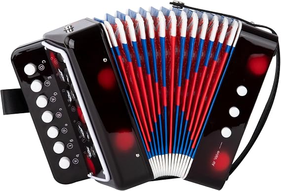 kids Accordion 10 Buttons Keys Toy Accordion MIni Accordian Musical Instrument for Children Beginners (Black)