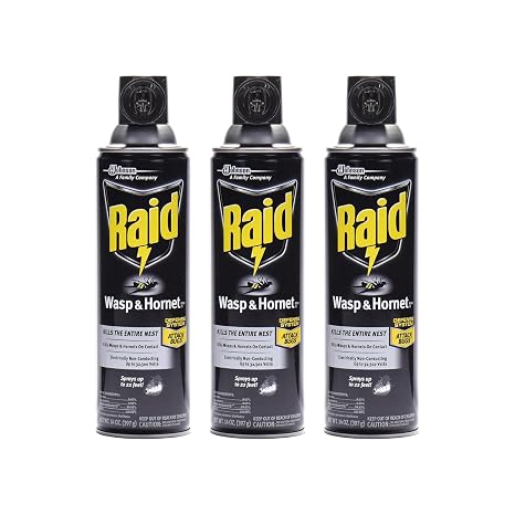 Raid Wasp and Hornet Killer Spray, 14 oz(pack of 3)