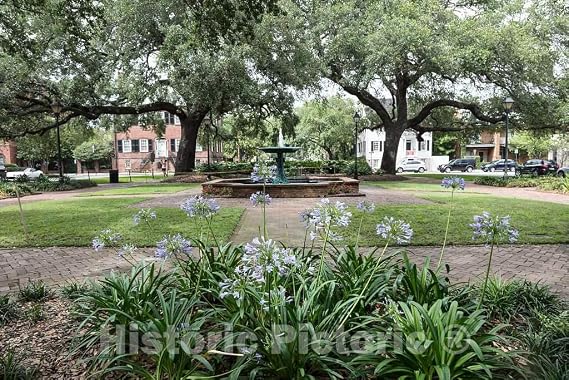 Historic Pictoric Photo - Columbia Square in Savannah, Georgia- Fine Art Photo Reporduction 24in x 16in