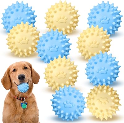 10 Pack 2.5 Floating Dog Ball Water Fetch Toy for Dogs Waterproof Rubber Spiky Balls Durable Interactive Fetch Toys for Puppy Teething
